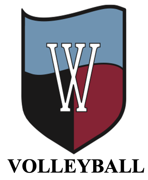 Logo Volleyball